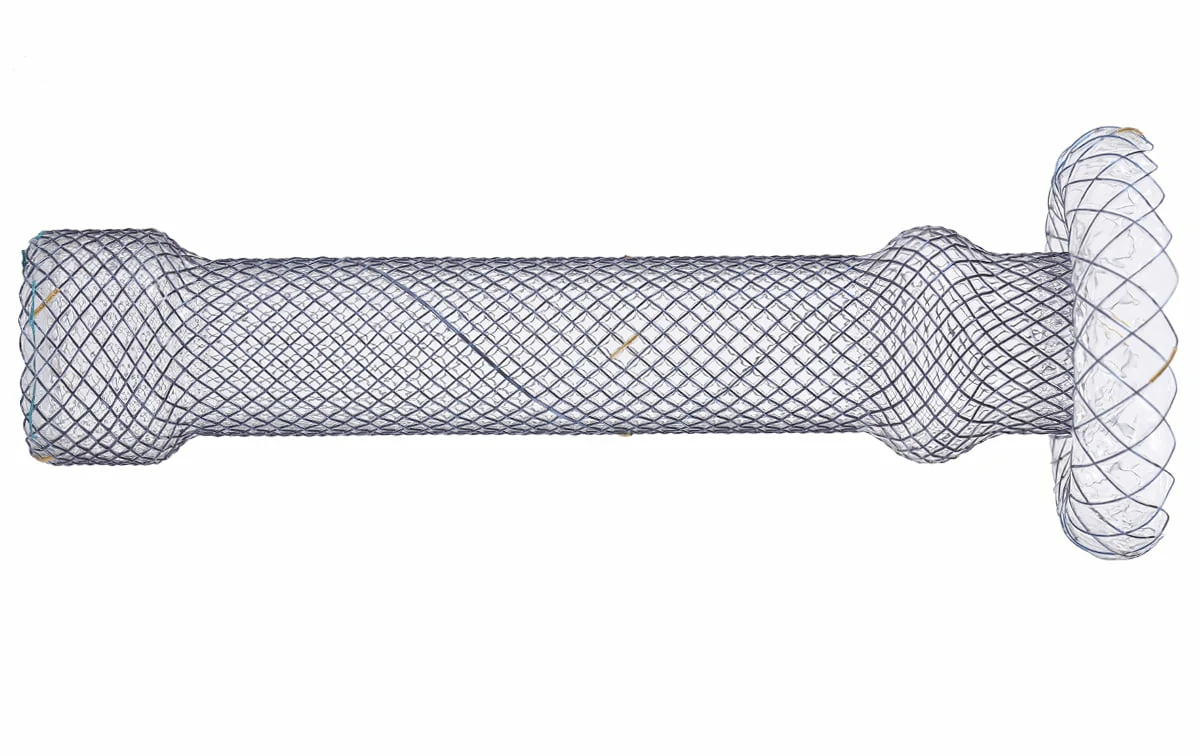 CITEC™ Cardia Umbrella Fistula Occluding Esophageal Stent